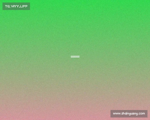 女排世锦赛比赛